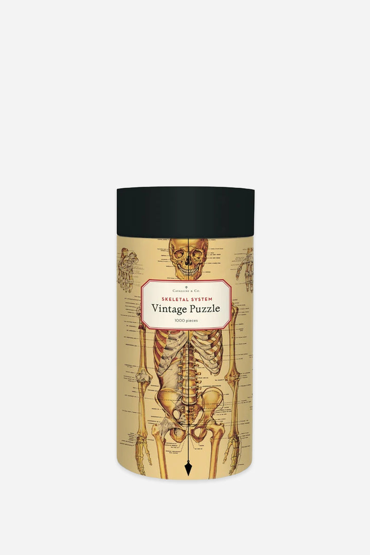 A cylindrical puzzle box featuring a vintage anatomical skeleton illustration in beige with a black lid, shown on a light gray background.