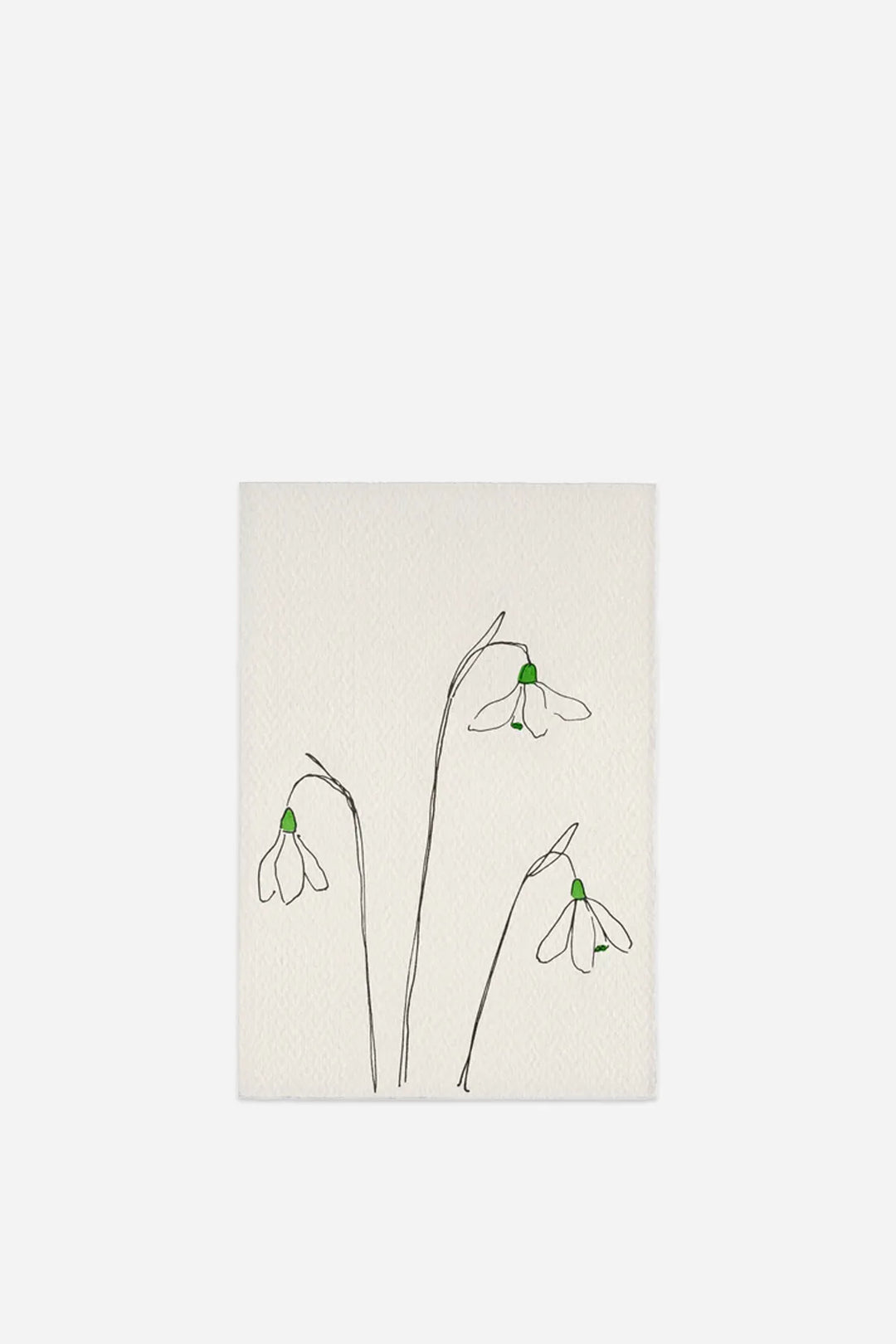 greeting card of snowdrop flowers on a white background
