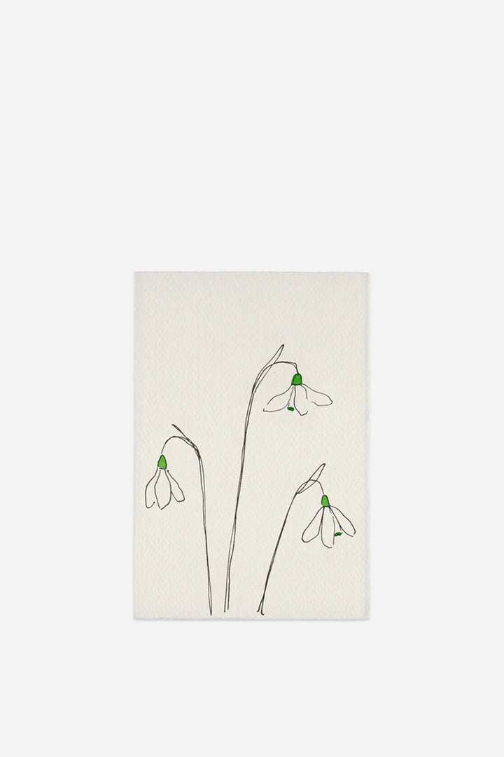 greeting card of snowdrop flowers on a white background