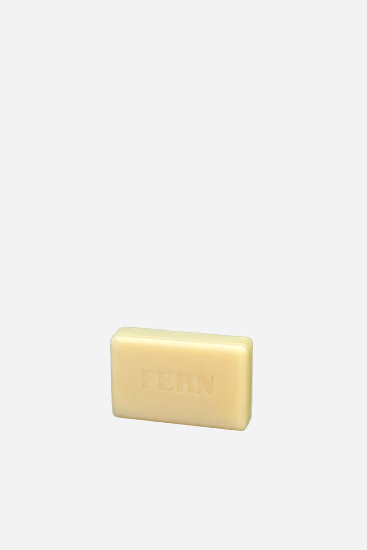 Green Botanical 100g Stamped Soap / Fern
