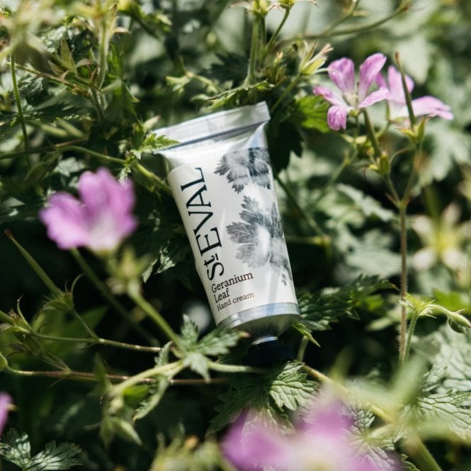 Hand Cream / Geranium Leaf