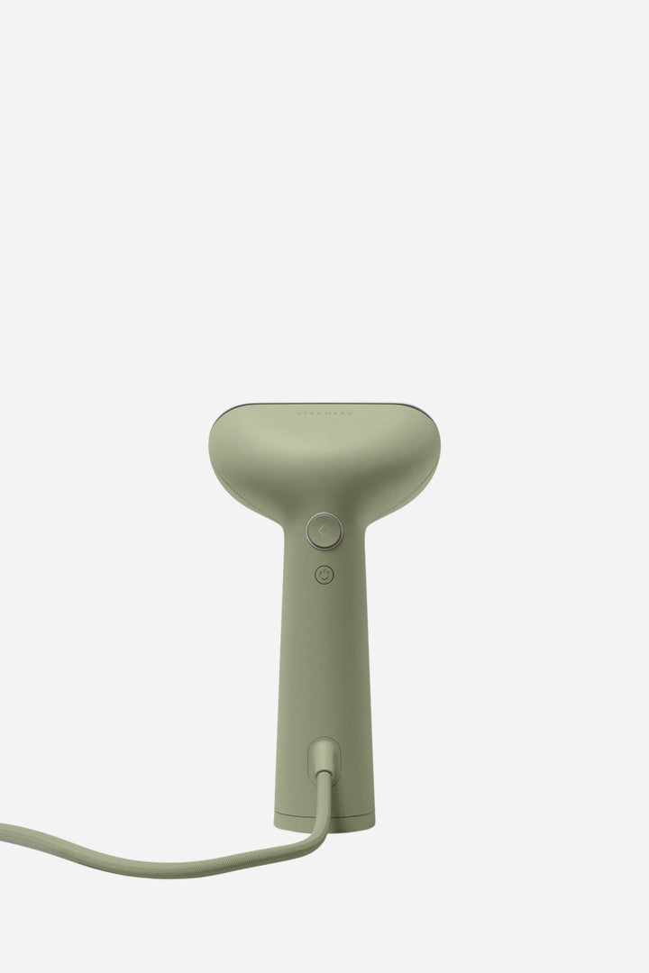 green hand held steamer