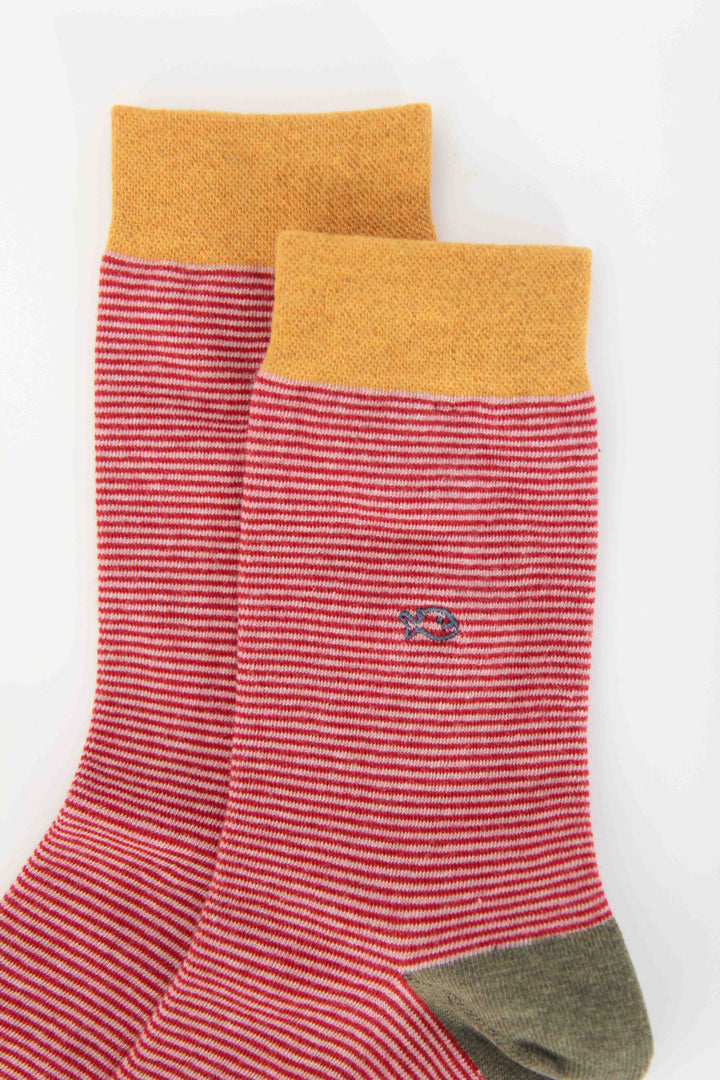 Men's Stripe Socks / Kilamanjaro