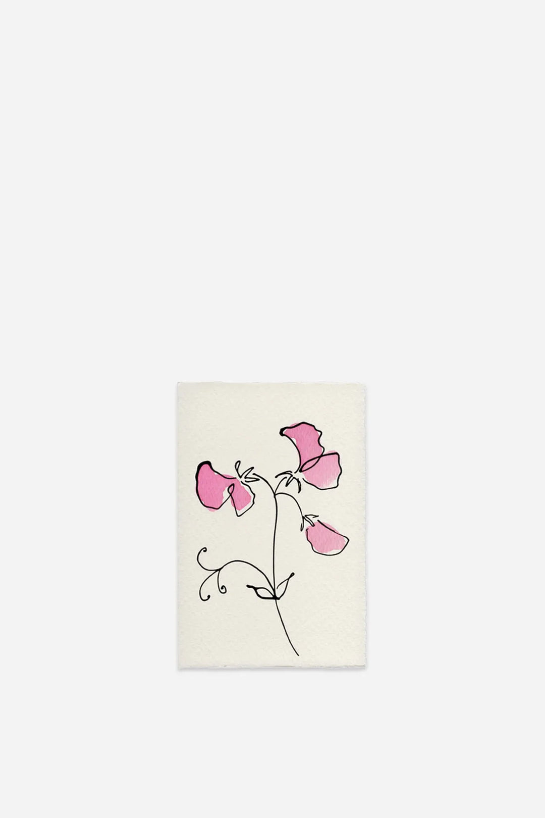 Sweet Pea Card