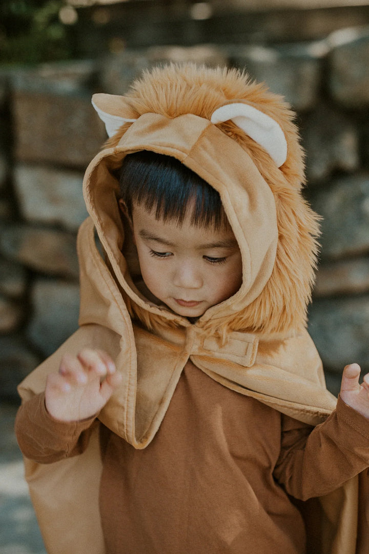 Toddler Lion Cape