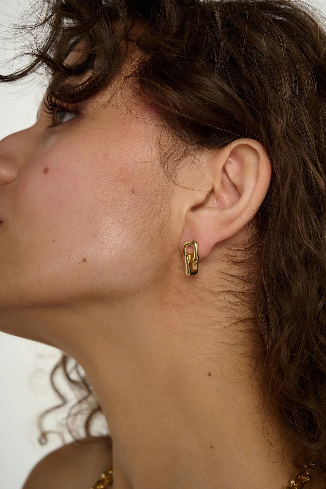 Link Earrings / Gold