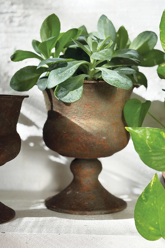 Versailles Urn Rust Small / 14x16cm