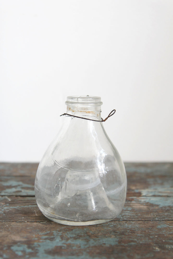 Vintage Wasp Catcher / Small