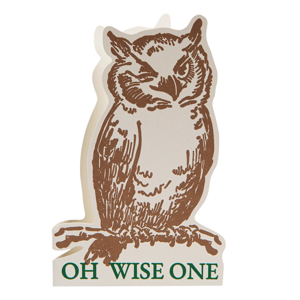 Oh Wise One Owl Card