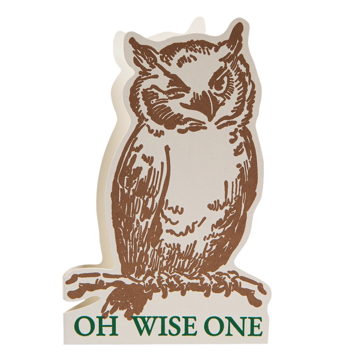 Oh Wise One Owl Card