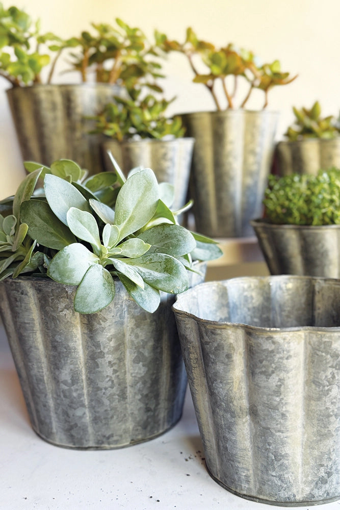 Set of 2 Zinc Fluted Planters 15x10cm