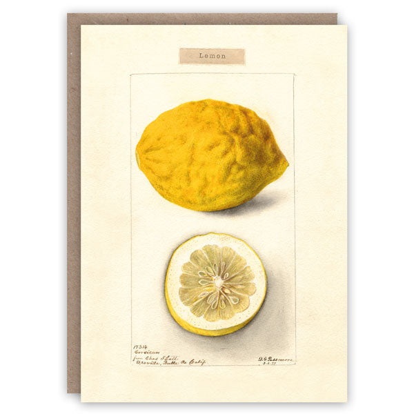 Lemon Card - Domestic Science Home