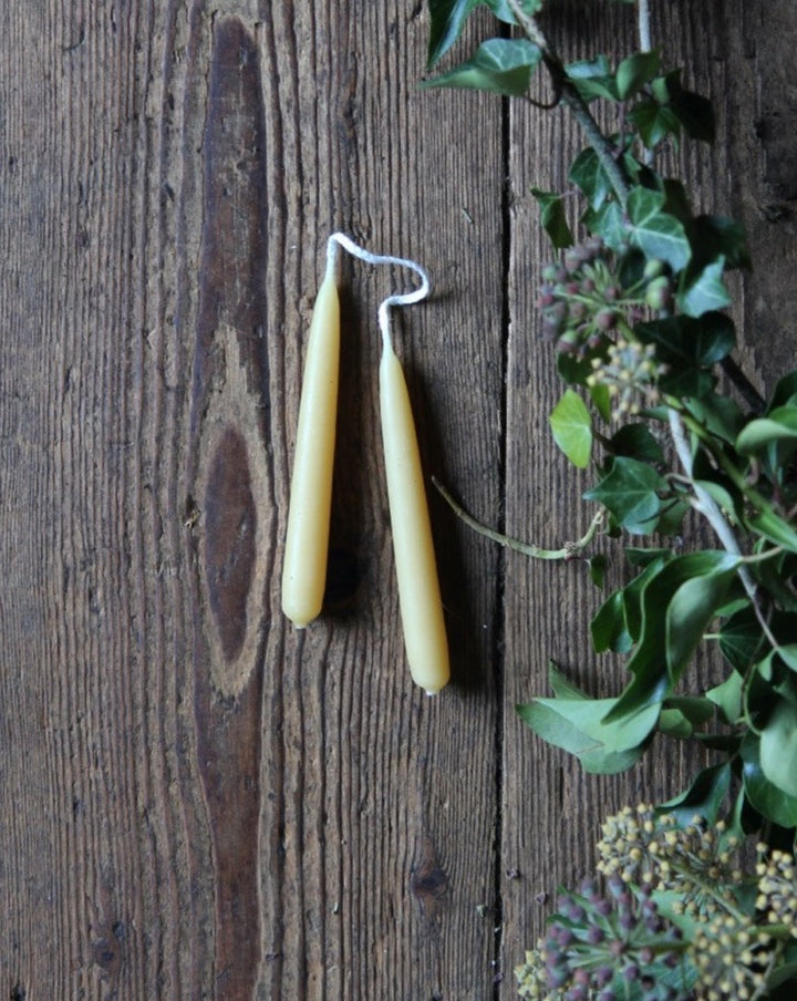Beeswax Pair of Tree Candles - Domestic Science Home