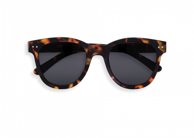 izipizi sunglasses shape N tortoise