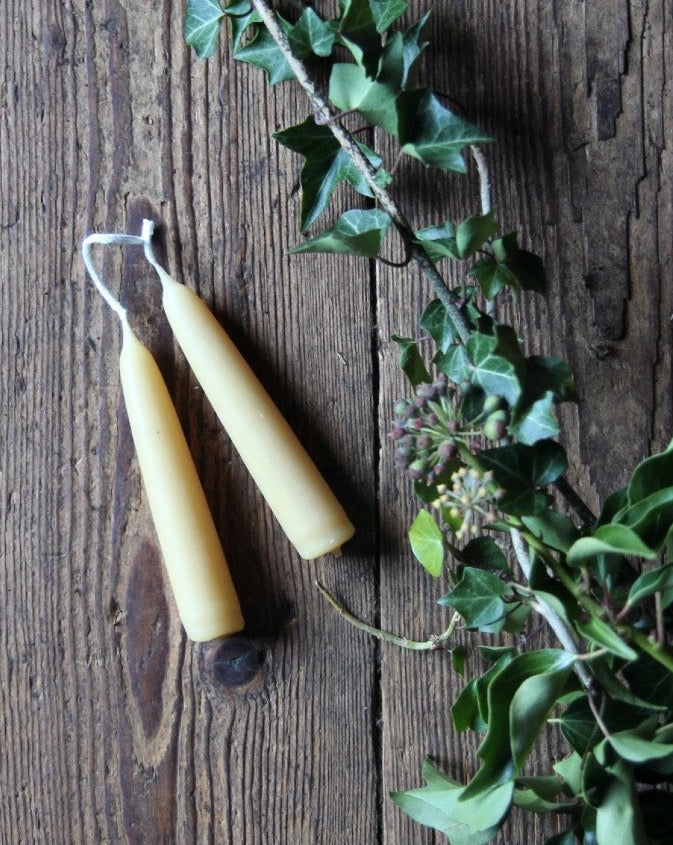 Pair of Stubby Beeswax Candles - Domestic Science Home